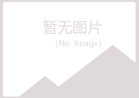 永定区女孩会计有限公司